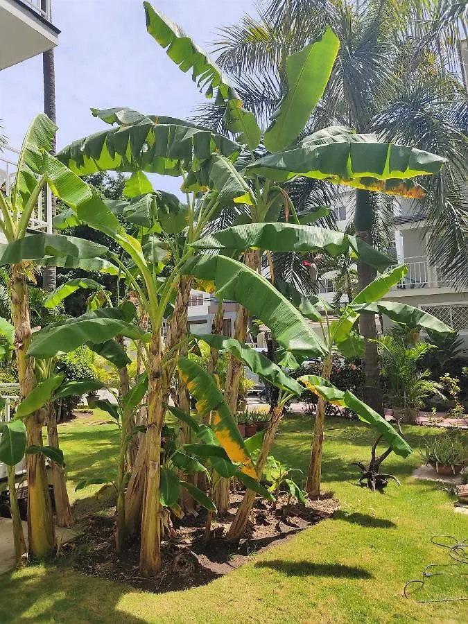Bavaro Beach Apartment 푼타 카나 5*,